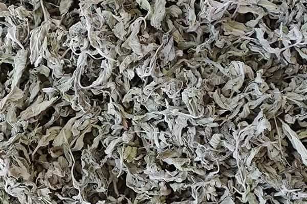 تصویر 2 از قیمت و خرید پونه خشک کوهی + فروش ارزان